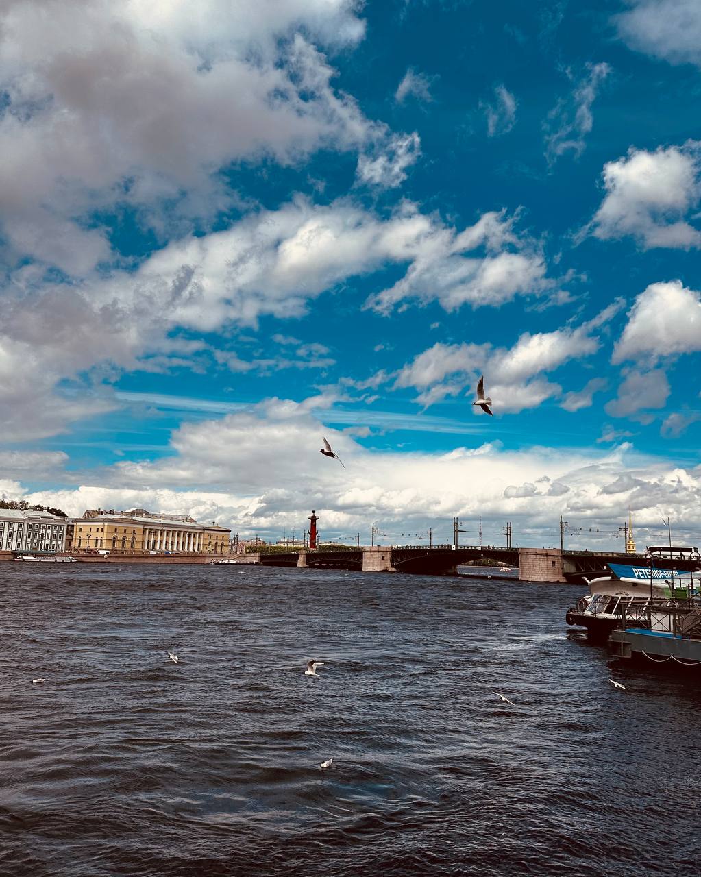 Silver Necklace of Russia (St. Petersburg + Karelia 1 day)